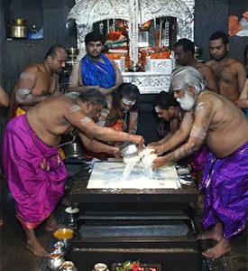 eseva-dugdhabhishek-img